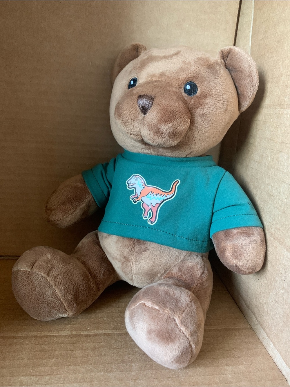 Coach  Brown Teddy Bear with green Dinosaur Shirt